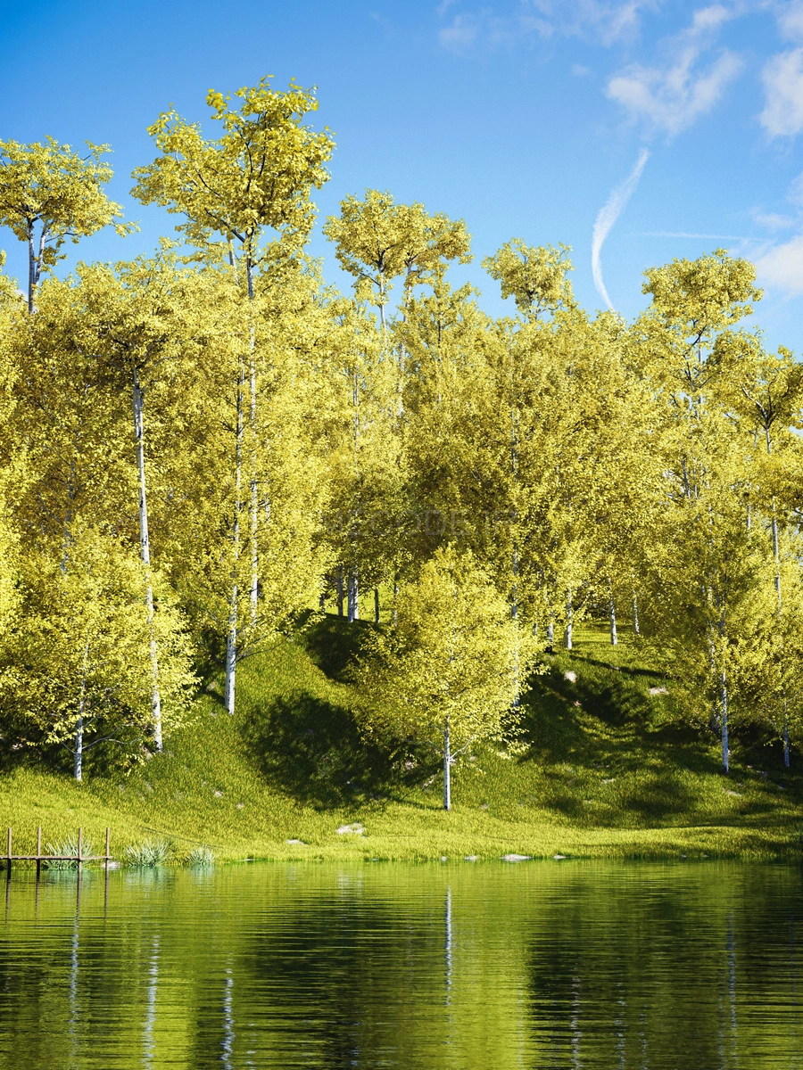 کتابخانه درخت، گیاه و چمن سه‌بعدی برای بلندر Tree And Grass Library ...